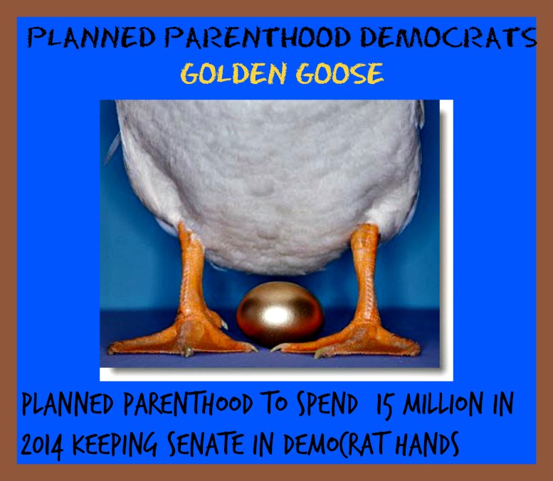 Planned Parenthood Democrats Goose Nissi