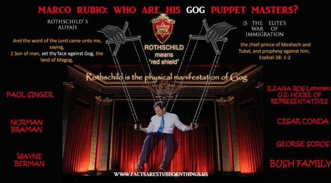 Rubio Puppet